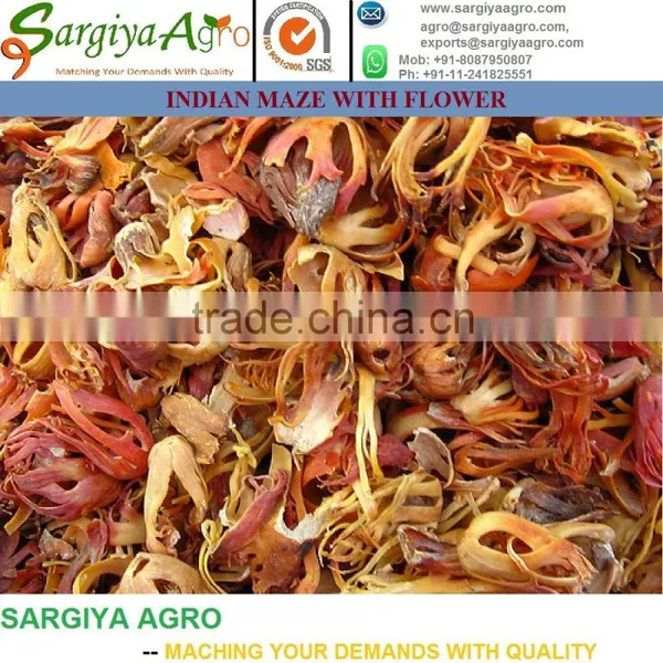 Mace Spice l Nutmeg l Spices l Javantri