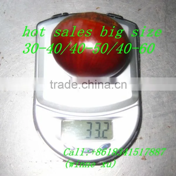 Good Both in Shape and Taste,dandong Chestnut photo-4