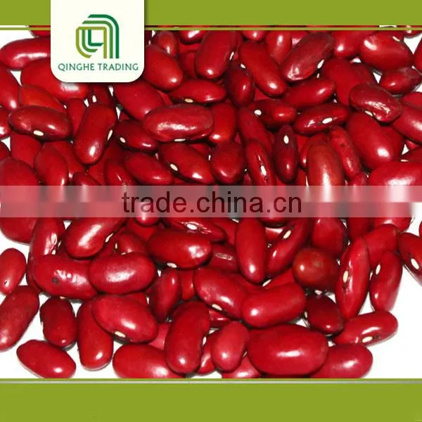 Canned Red Kidney Beans in Brine Pulse photo-3