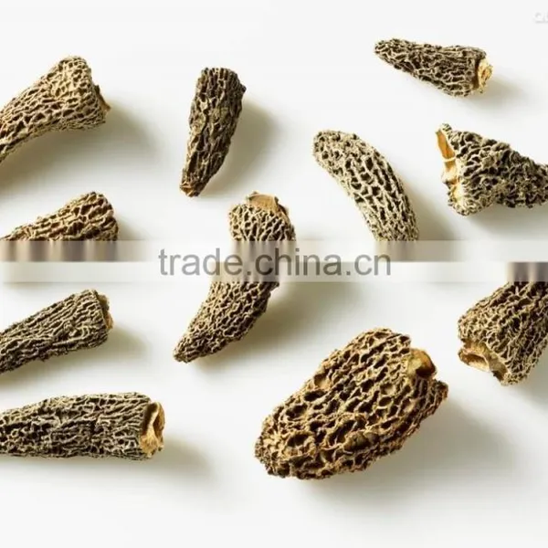 Organic Morels Conica Mushroom Dried Morel photo-6