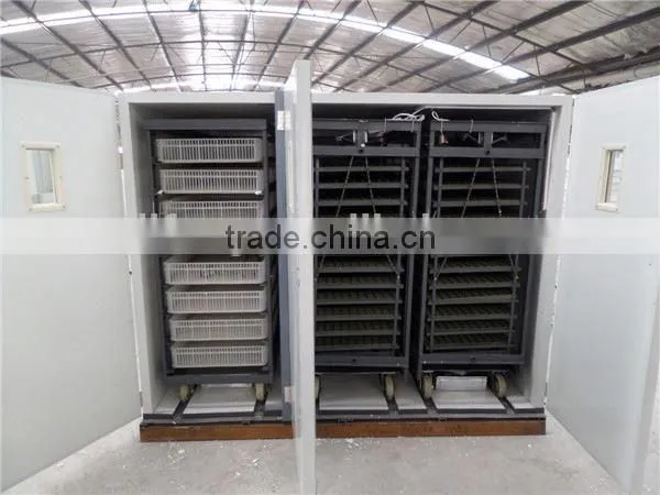 High Hatching Rate Equipment for Hatching Eggs photo-2