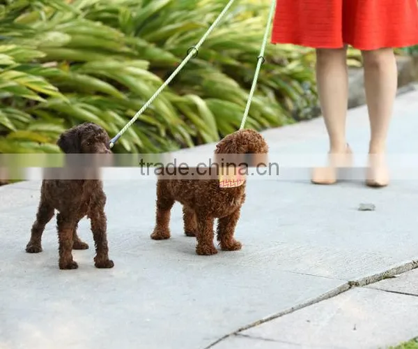 Commercial Pet Products PRO Retractable Dog Leash photo-5