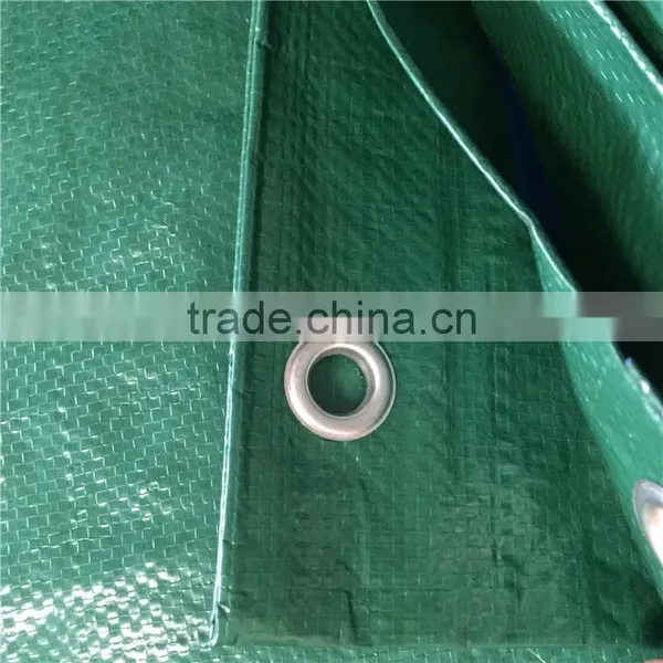 China Waterproof Polyethylene Lona Alquitranada photo-2