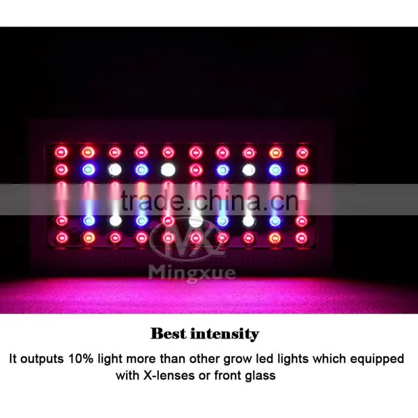 Epistar Chip 300W Horticulture Led Grow Light for Aeroponics Growing Systems photo-3