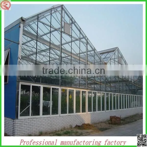 Commercial Large Tunnel Glass Greenhouse for Mushroom/roses/tomatoes photo-4