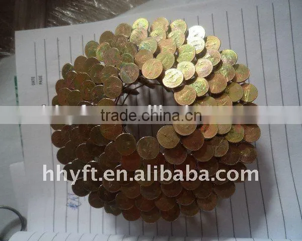 Coil Nail China Supplier on Hot Sale photo-2