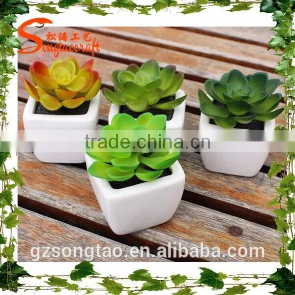 Mini Ornamental Artificial Plants Succulent Plant for Decoration Wholesale photo-2