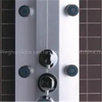 CICCO PVC Steam Shower Control Panels For Bathroom SP3-010