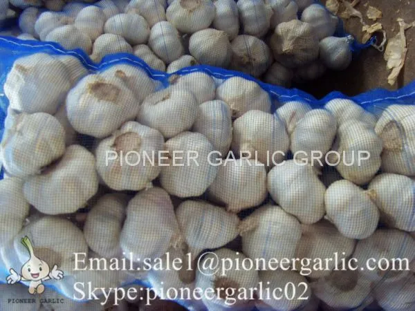 4.5-5cm Normal White Chinese Fresh Garlic In Mesh Bag Packing photo-2