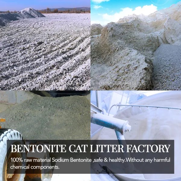 Dust-free Bentonite Cat Litter Export Quality OEM Foundry