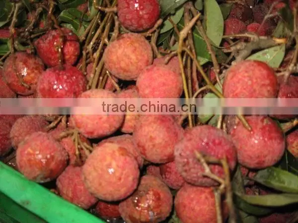 CANNE LYCHEE IN SYRUP