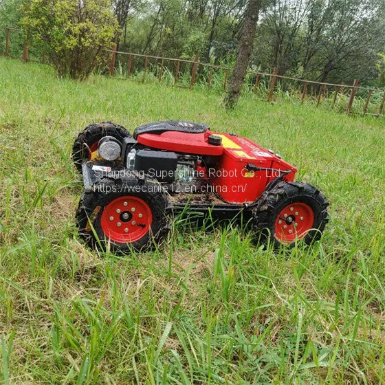 Radio Control Mower, China Grass Cutting Machine Price, Bush Remote Control for Sale photo-5