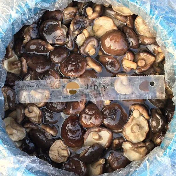 Shiitake Mushroom In Brine Lentinus Edodes