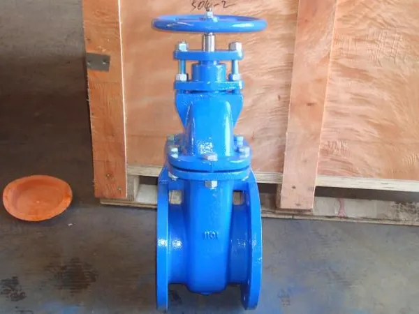 Wear Resistant BS Rising Stem Gate Valve for Sewage Conveyance photo-4