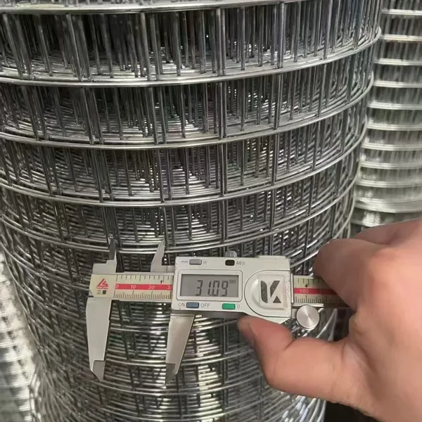 Welded Wire Mesh photo-5