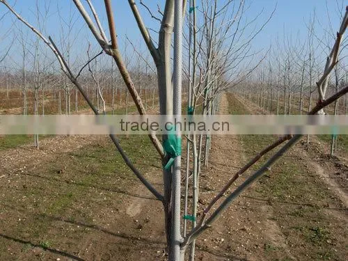 Fiberglass Stake With Paint Surface photo-2