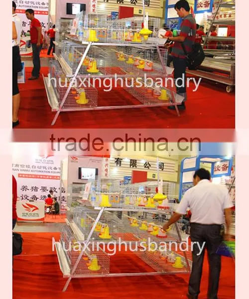 Used Battery Poulry Broiler Cage System for Sale photo-3