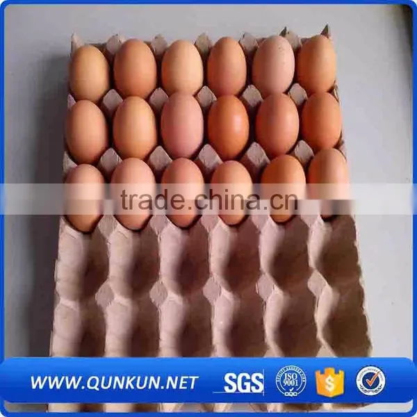 Multifunctional Hot Sales Plastic Eggs Tray New photo-6