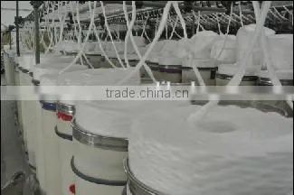 Ne 30/1 Virgin Polyester Spun Yarn photo-6