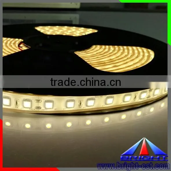 5050 Strip Swimming Pool Led Strip Lighting,High Brightness Led Strips 5050 RGB Underwater Ip68 photo-2