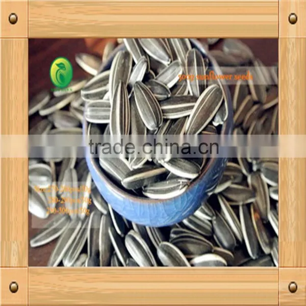 China, Hot Sale Raw Sunflower Seeds,2014 photo-3