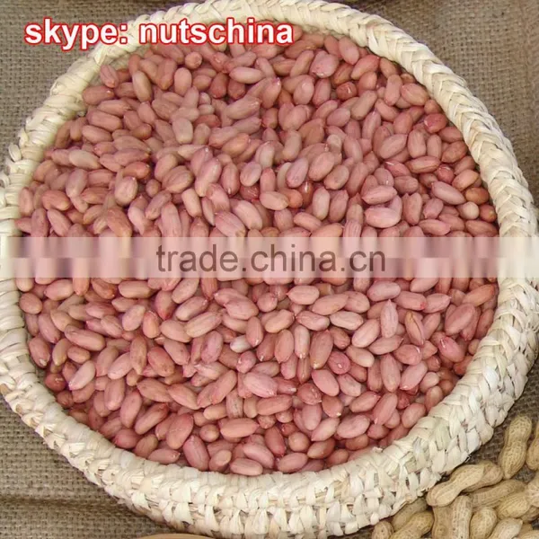 Blanched Peanuts 25/29 29/33 35/39 (VIRGINIA TYPE) photo-4