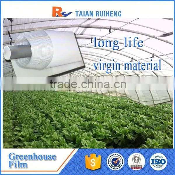 Professional Factory Greenhouse Plastic Film, PE Greenhouse Plastic photo-3
