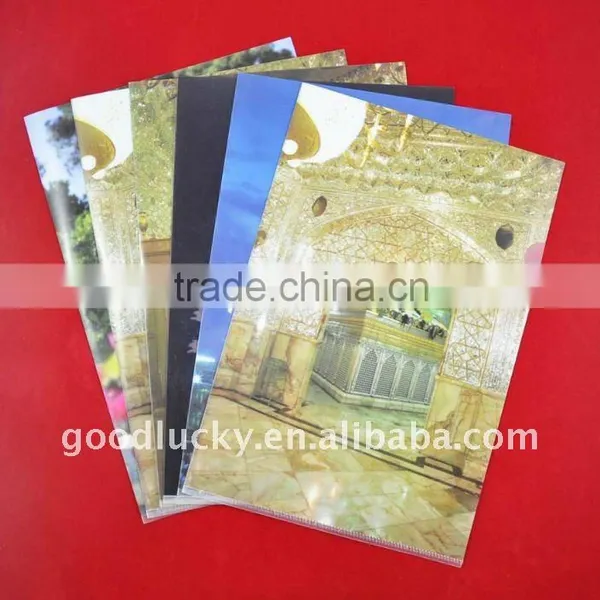 Factory Directly Selling Bulk Plastic File Folder /A4 PP Folder /pp File Folder photo-3