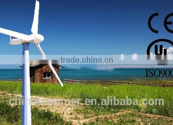 Reliabe and Quiet Running Wind Turbine Generator 3kw for Home /farm/base Station photo-6