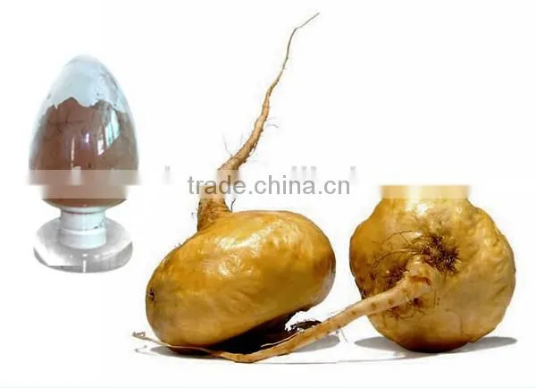 High Quality 100% Natural Maca Powder, Maca Extract, 10:1 Maca Root Powder photo-5