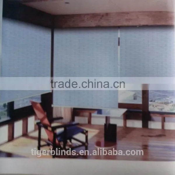 Blackout Motorized Roller Blinds
