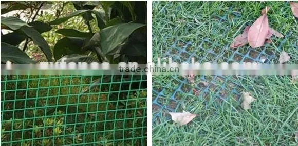 Plastic high quality flower breeding wire mesh/flower breeding net/plastic mesh