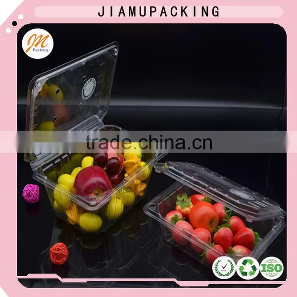 Hot Sale Clear Folding PET Blister Packaging Box photo-2