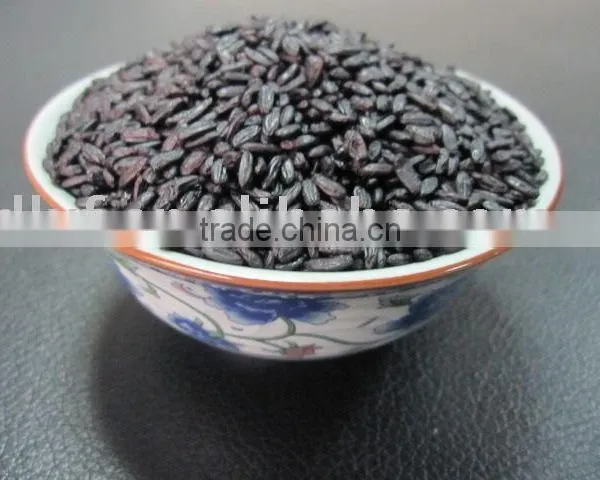 Black Rice photo-3