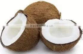 Husked Coconuts From Tuticorin Port photo-3