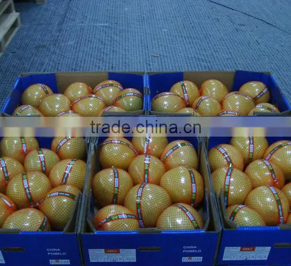 2015 Crop Fresh Honey Pomelo Pack 15kg Fruit Carton Box photo-2