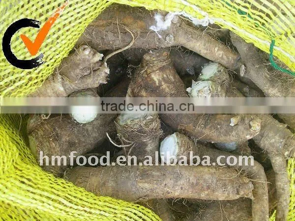 Fresh Horseradish