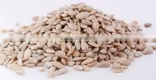 Sunflower Kernels With Good Price Bakery Type Sunflower Seeds photo-4