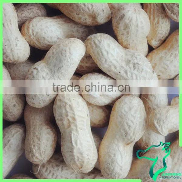 Raw Chinese Peanut Factory Supply photo-2