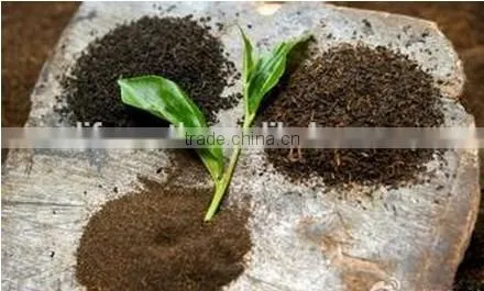Pure Chinese Herbal Tea/Hawthorn Leaf Tea photo-2