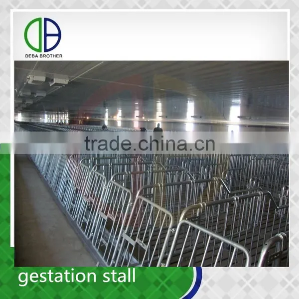 Good Quality Pig Gestation Stall Crate Sow Gestation Stalls photo-2