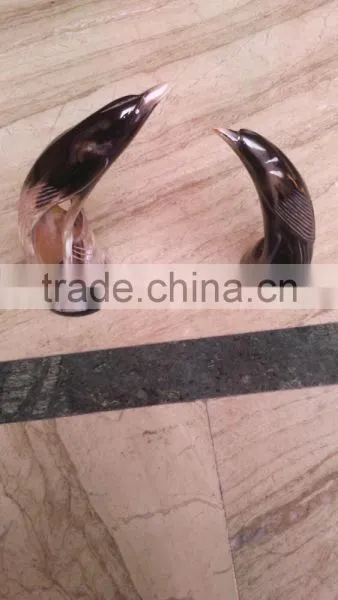 Horn Falcon photo-2