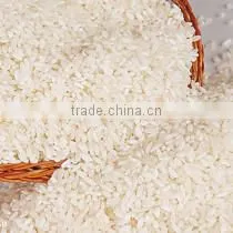 Practical Nice Looking Instant Rice Machinery photo-5