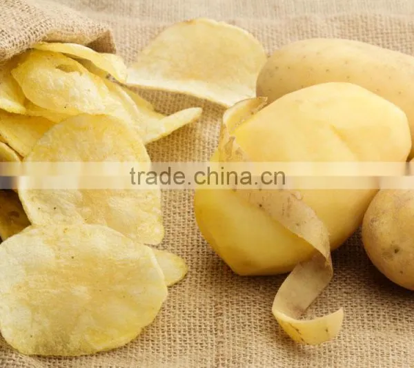 Frying Snacks Machinery photo-4