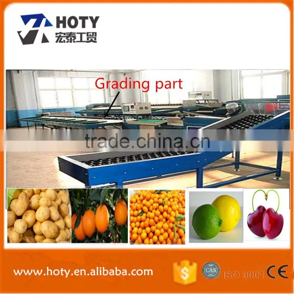 Potato Sorting Machine / Fruit Sorting Machine / Vegetable Grading Machine