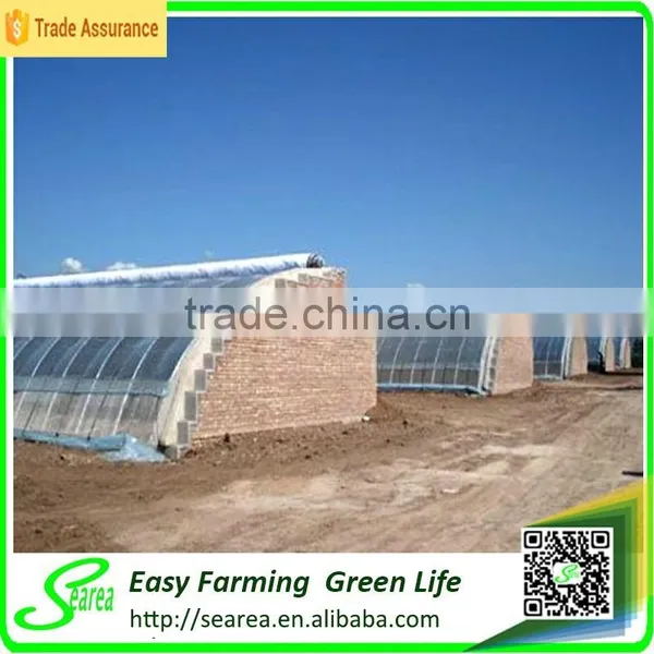 Anti Snow Solar Greenhouse for Sale photo-2