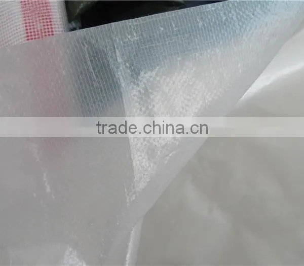 Transparent Plastic Sheets Woven Fabric Tarpaulin for Flower Plant photo-3