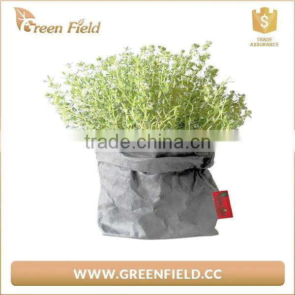 Grey Washable Paper Plant Bag,Kraft Paper Plant Pot photo-2
