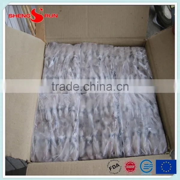 BQF Baby Squid Block Frozen photo-4