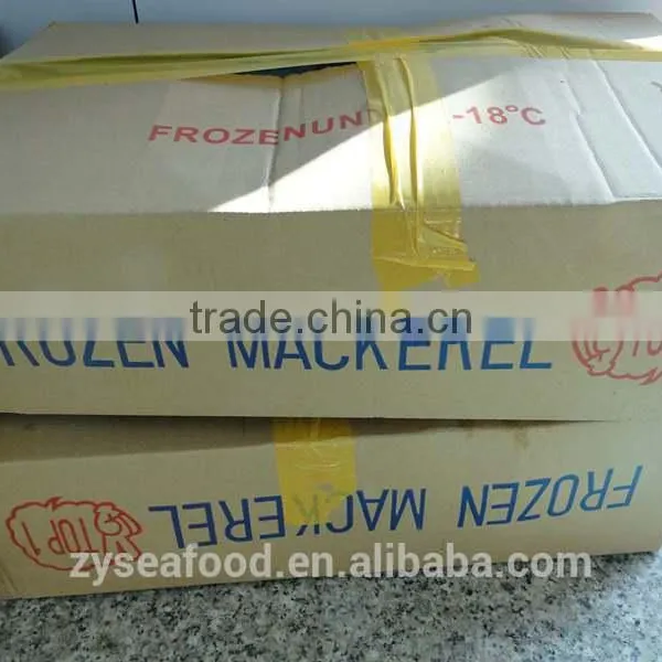 Frozen Saba Mackerel Fish photo-3